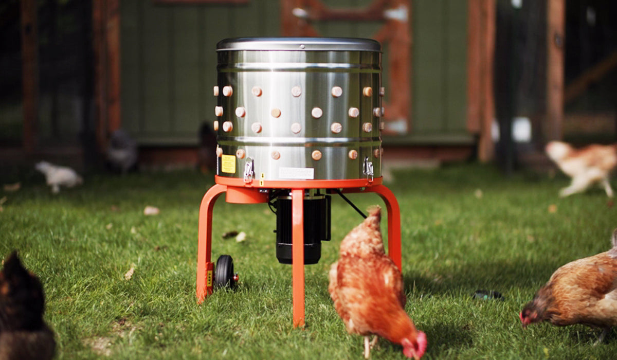 Chicken plucker magic makes farm life easier