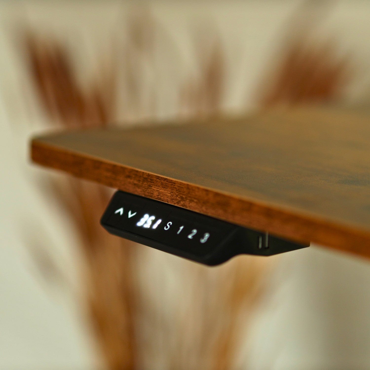 SuperHandy Electric Standing Desk - 63" Width x 30" Depth