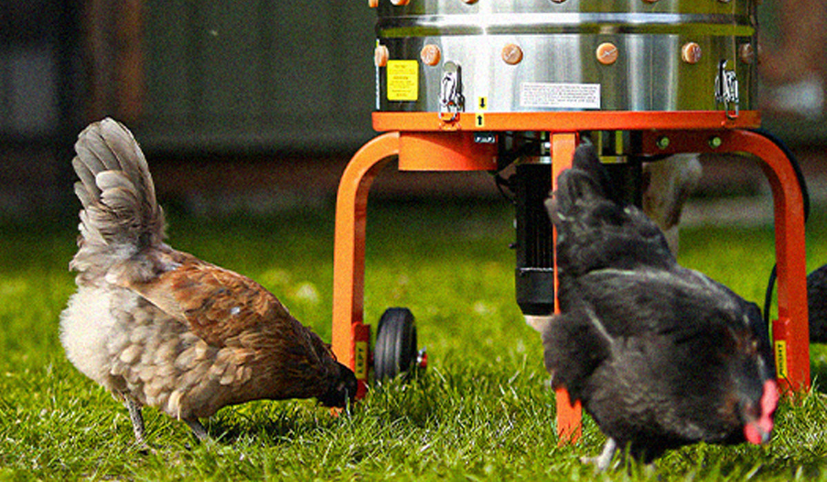 Top Tips for Maintaining Your Chicken Plucker Machine for Years of Reliable Use