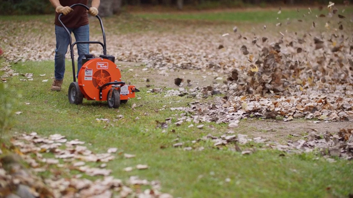 Clearing Pine Needles from a Gravel Driveway with a Gas Leaf Blower