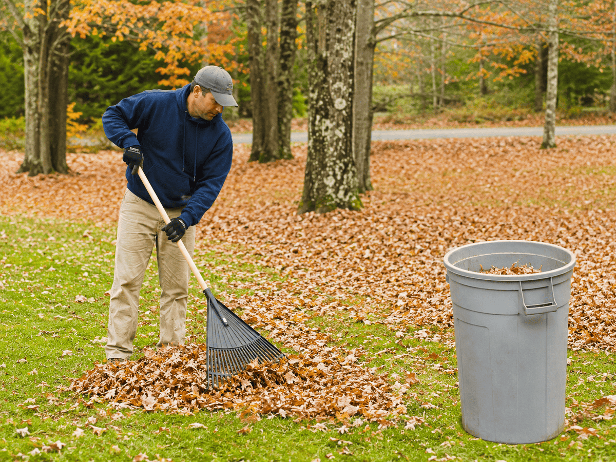 Fall Outdoor Power & Property Tools