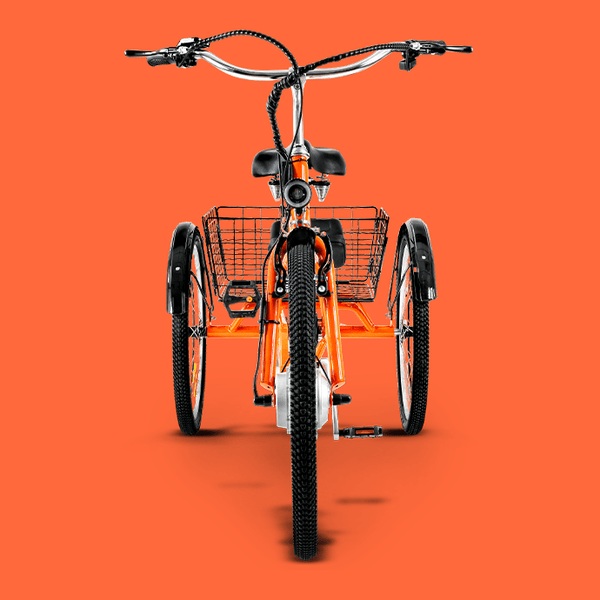 Mens tricycle bike shop