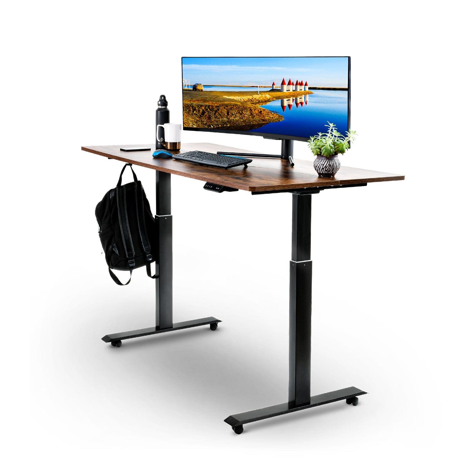 SuperHandy Electric Standing Desk - 63" Width x 30" Depth